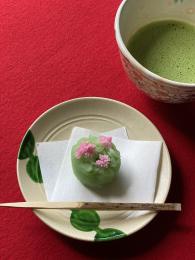 岩根つつじ
