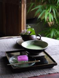 名残の紫陽花