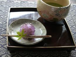 紫陽花