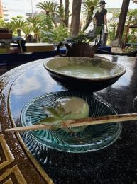 紫陽花季~あめにけむる花たち