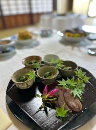 新緑のころの普茶