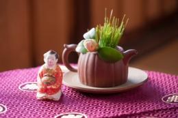 加茂本阿弥椿