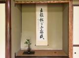 桃の会～芍薬