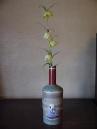 貝母(ばいも)