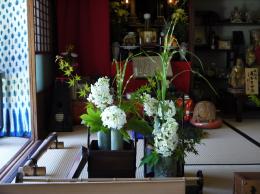 紫陽花季～庫裡のしつらえ