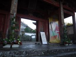 新春花あそび～山門２