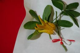 新春花あそび～仏手柑