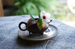 高砂芙蓉