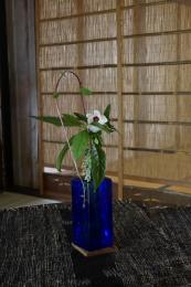 高砂芙蓉とぎやまん