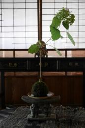 名残花