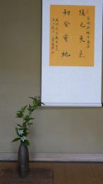 白杜鵑(しろほととぎす)