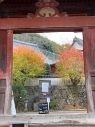 南京はぜ
