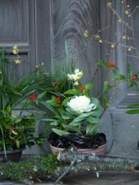 新春花あそび～回廊の花