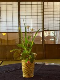 金水引