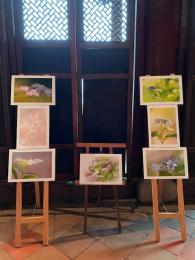 紫陽花～向井万里子写真展