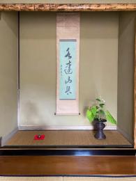 秋海棠