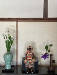 菖蒲
