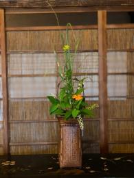 山牛蒡