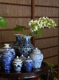 柏葉紫陽花