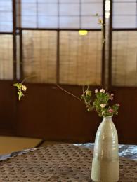 野路菊と照り葉