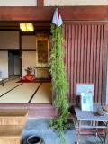 日陰の葛