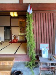 日陰の葛
