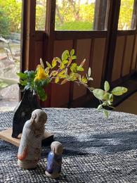菊と照り葉