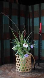 高砂芙蓉