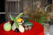 南瓜、冬瓜、茄子、水芋、里芋などをお飾りした本堂前の回廊