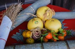 祝いかざり～晩白柚子